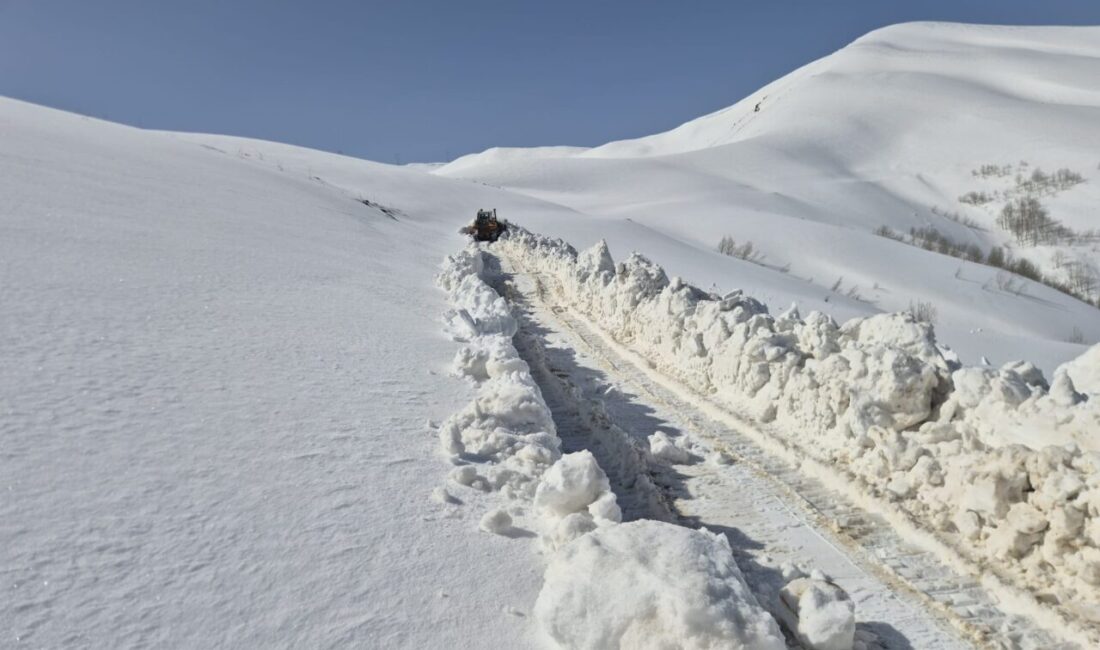 VAN (AA) – Van, Bitlis ve Muş'ta olumsuz hava koşulları
