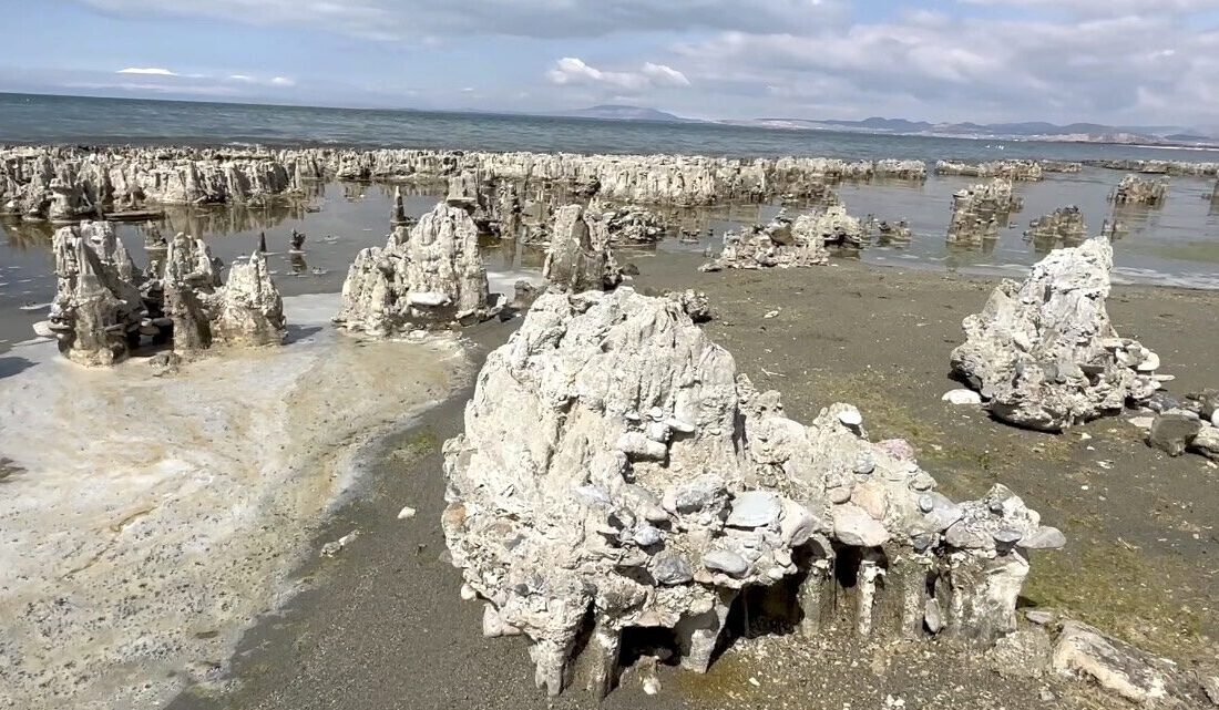 - Dışişleri Bakanlığı Van Temsilcisi Büyükelçi Emre Zeki Karagöl:
- "Aralık
