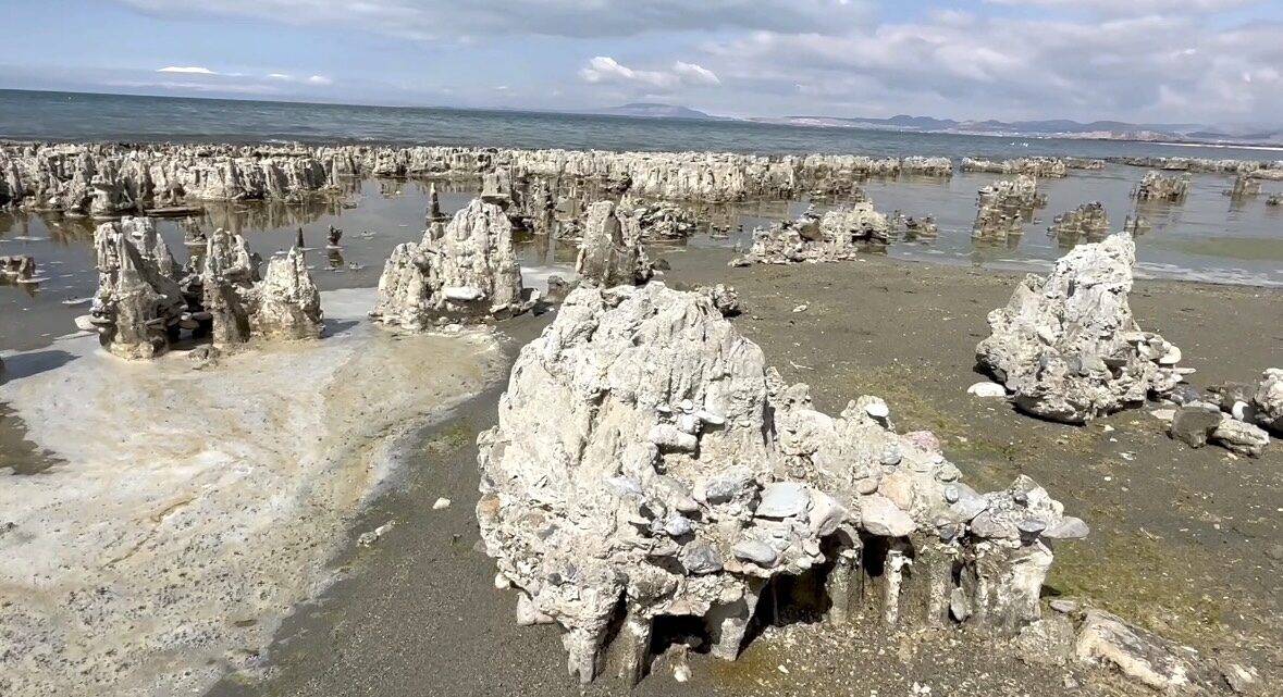 - Dışişleri Bakanlığı Van Temsilcisi Büyükelçi Emre Zeki Karagöl:
- "Aralık
