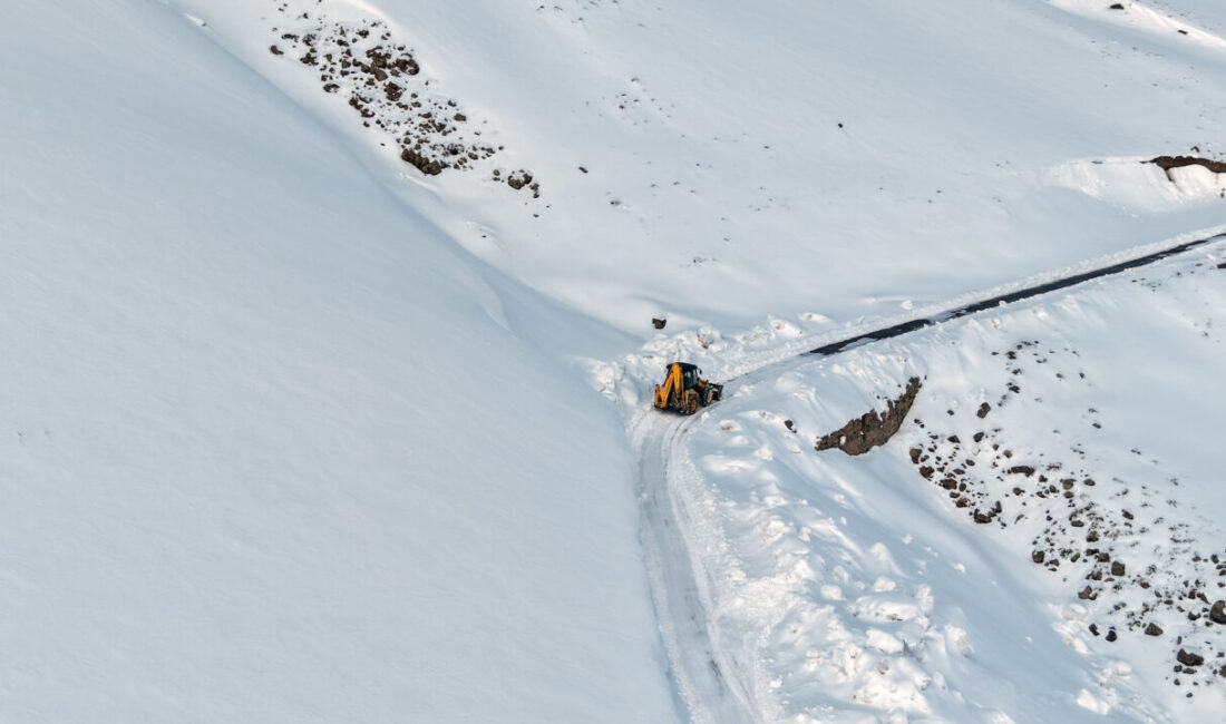 VAN (AA) – Van, Hakkari ve Bitlis'te etkili olan yoğun