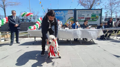 VAN (AA) – Van'da bu yıl 16'ncısı düzenlenen "Doğu Anadolu