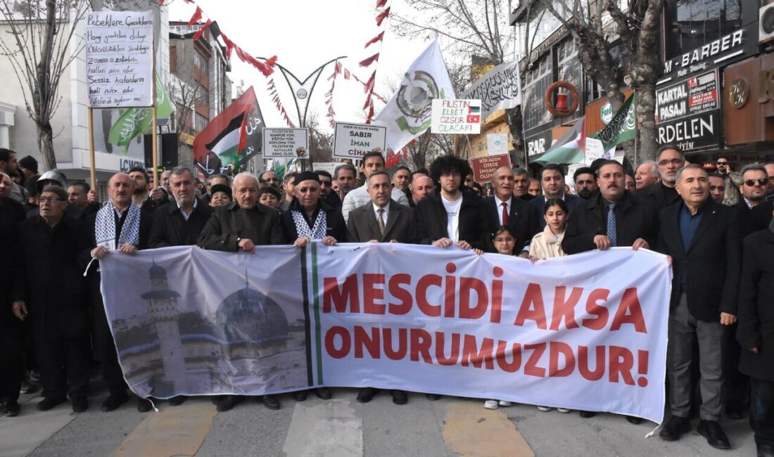 VAN (AA) – Van'da Gazze'ye destek yürüyüşünde İsrail'in Gazze'deki soykırımı