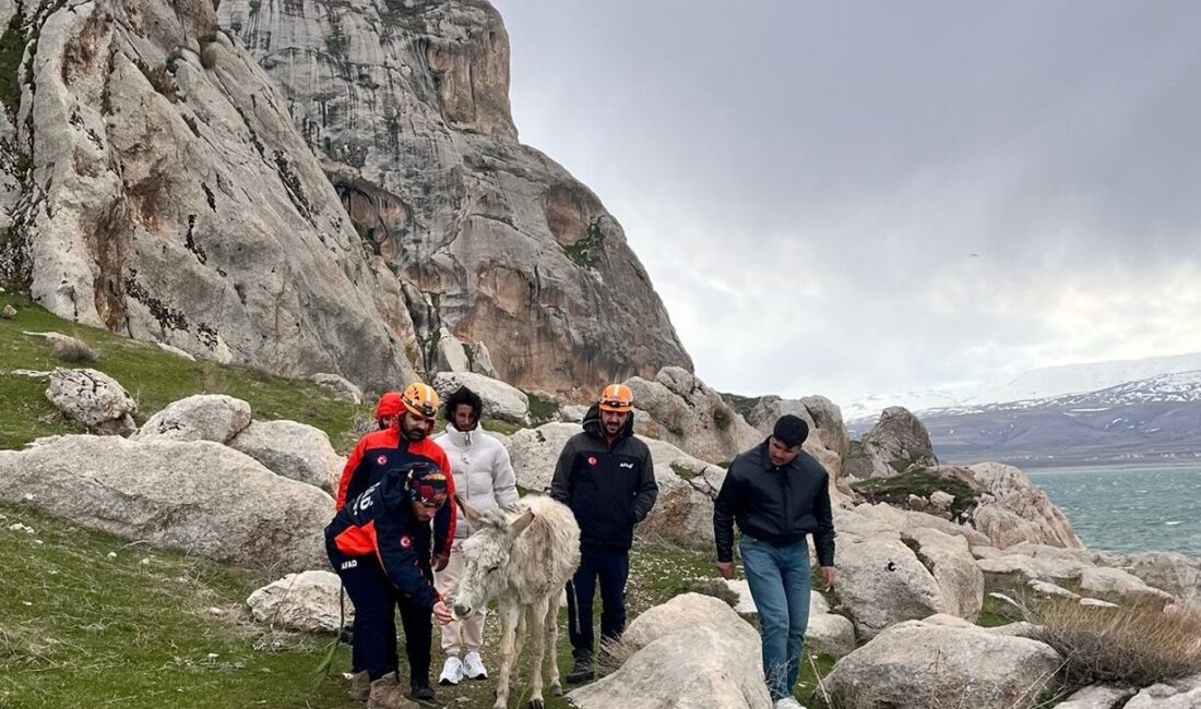 VAN (AA) – Van'ın Tuşba ilçesinde kayalıklarda mahsur kalan eşek,