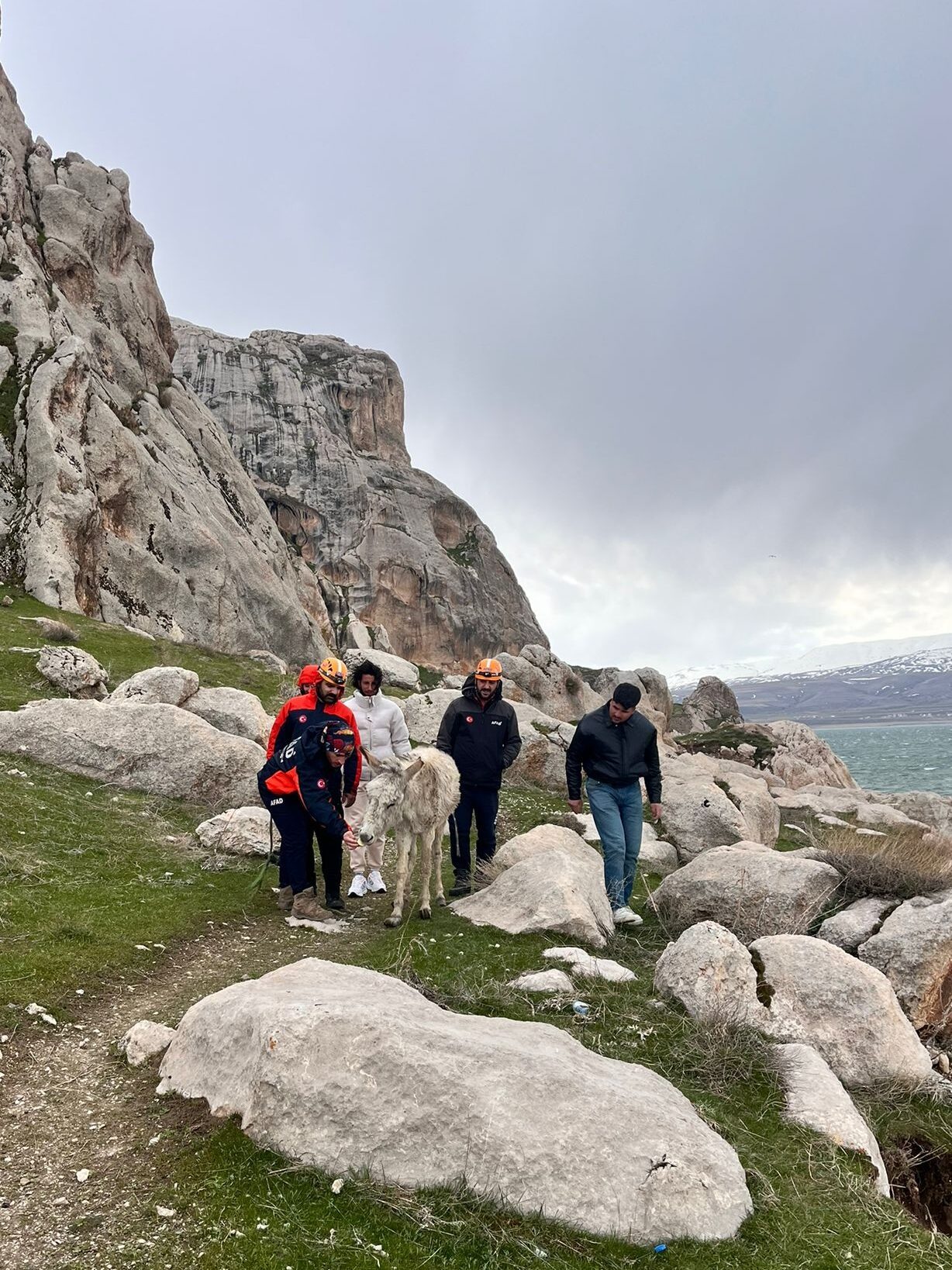 VAN (AA) – Van'ın Tuşba ilçesinde kayalıklarda mahsur kalan eşek,