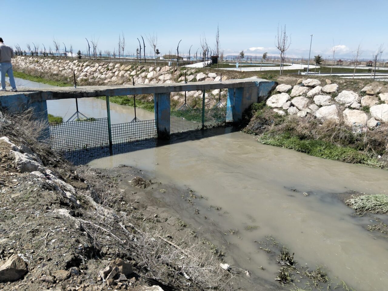 VAN (AA) – Van Büyükşehir Belediyesi, Van Gölü'nde yaşayan inci