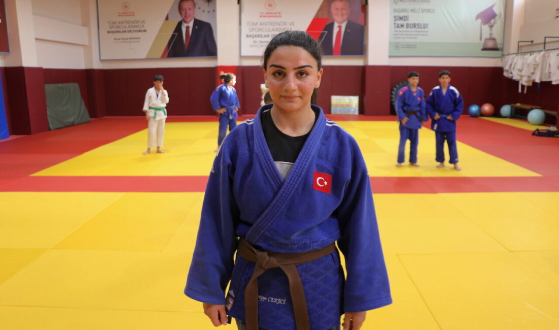 VAN (AA) – Gençlik ve Spor Bakanlığı tarafından Van'da 3