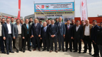 YOZGAT (AA) – Yozgat'ta "Manda Islah Projesi" kapsamında İstanbul'dan getirilen