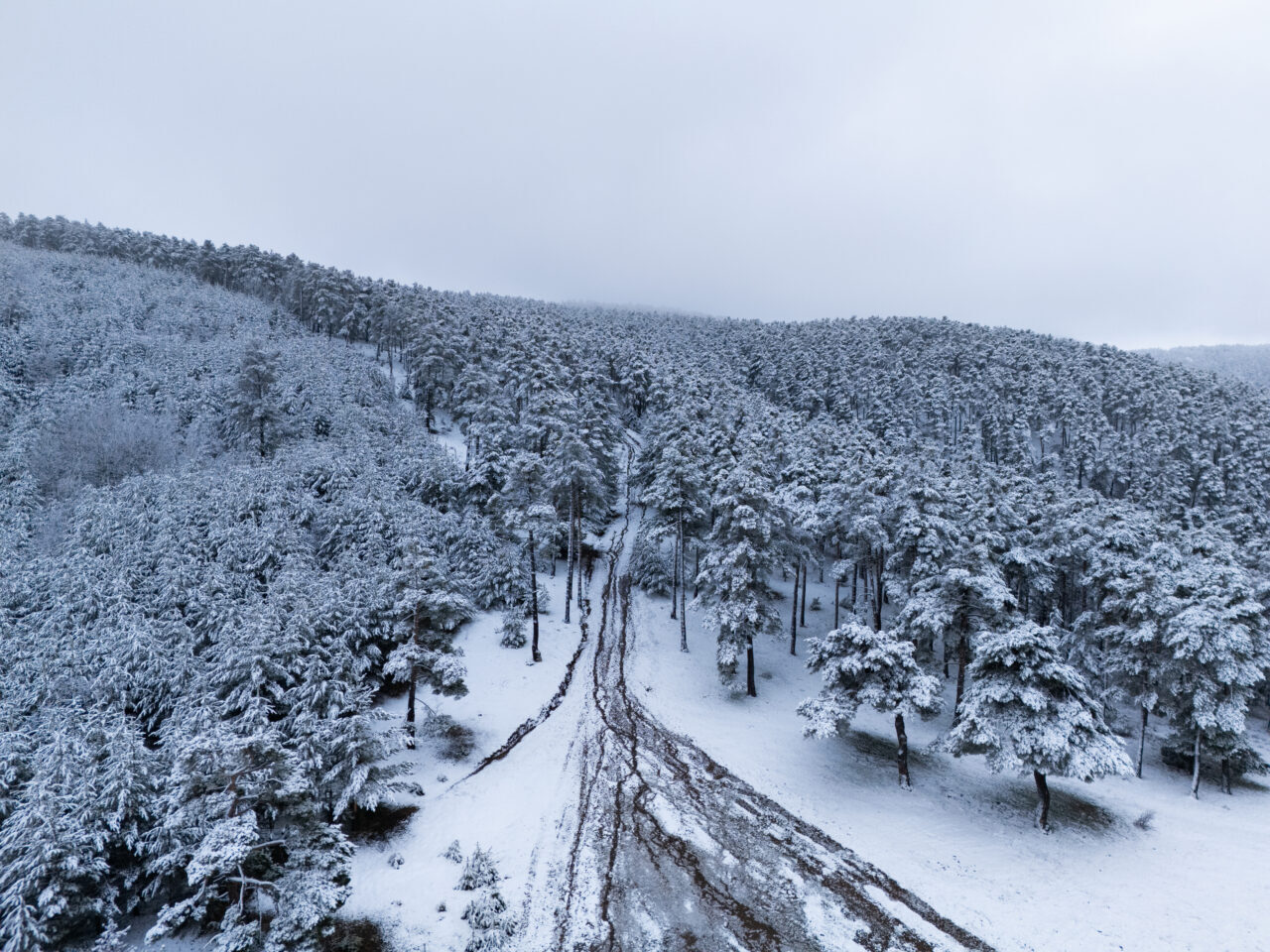 YOZGAT (AA) – Yozgat'ın Akdağmadeni ilçesinde nisan ayında karla kaplanan