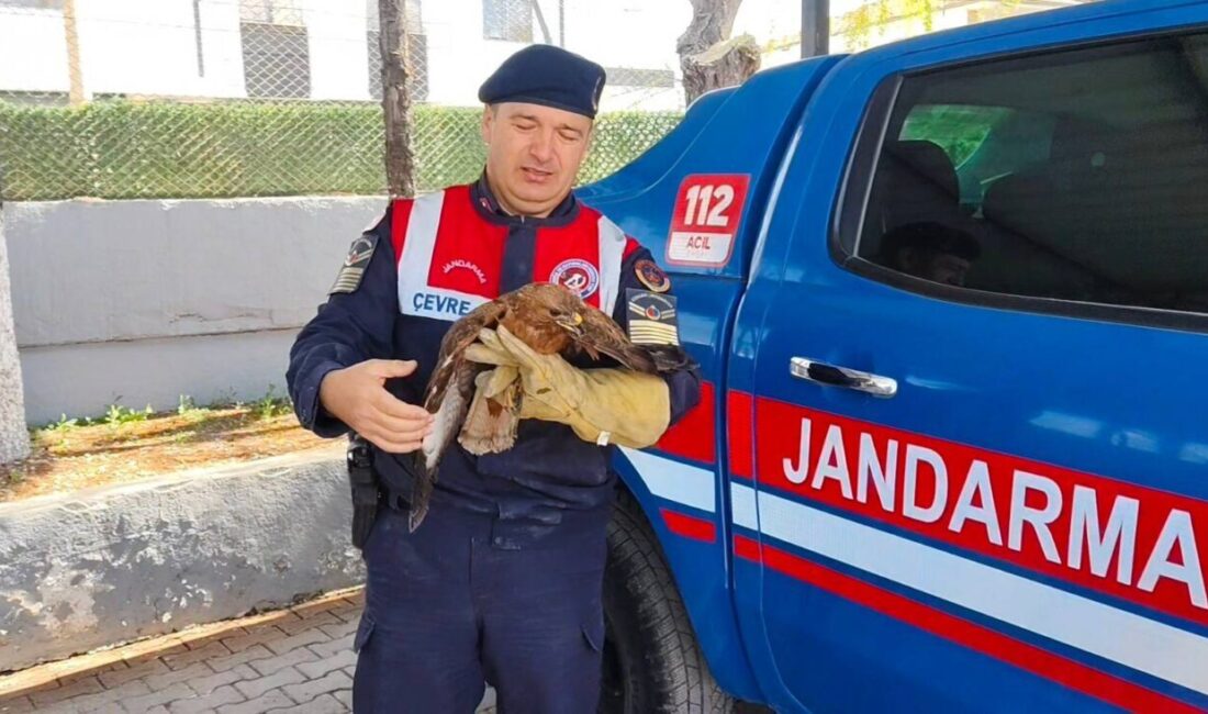 YOZGAT (AA) – Yozgat'ın Boğazlıyan ilçesinde vatandaşlar tarafından yaralı bulunan