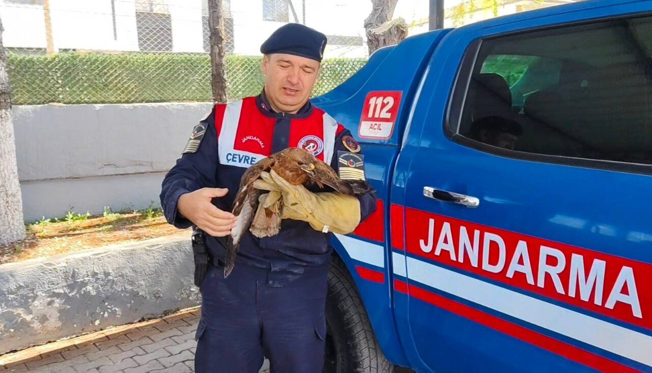 YOZGAT (AA) – Yozgat'ın Boğazlıyan ilçesinde vatandaşlar tarafından yaralı bulunan