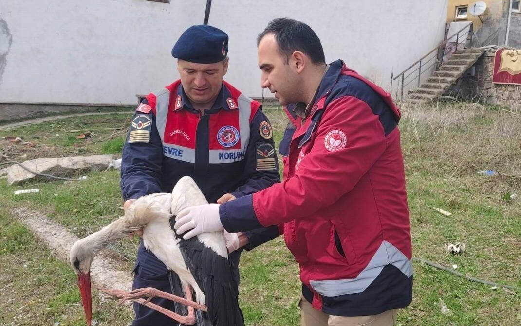 YOZGAT (AA) – Yozgat'ın Aydıncık ilçesinde yaralı bulunan leylek, tedavisinin
