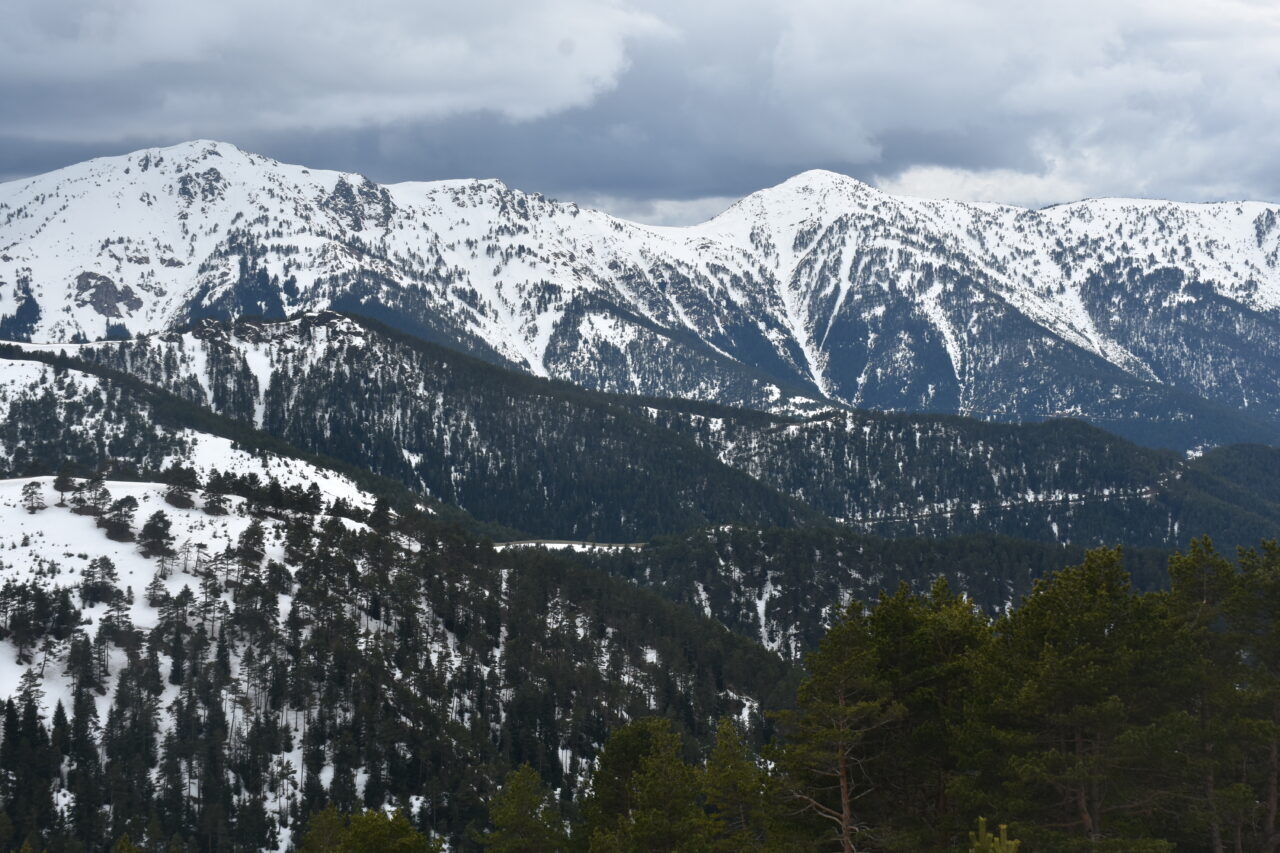 GÜMÜŞHANE (AA) – Doğu Karadeniz'in önemli kış turizmi destinasyonlarından Zigana