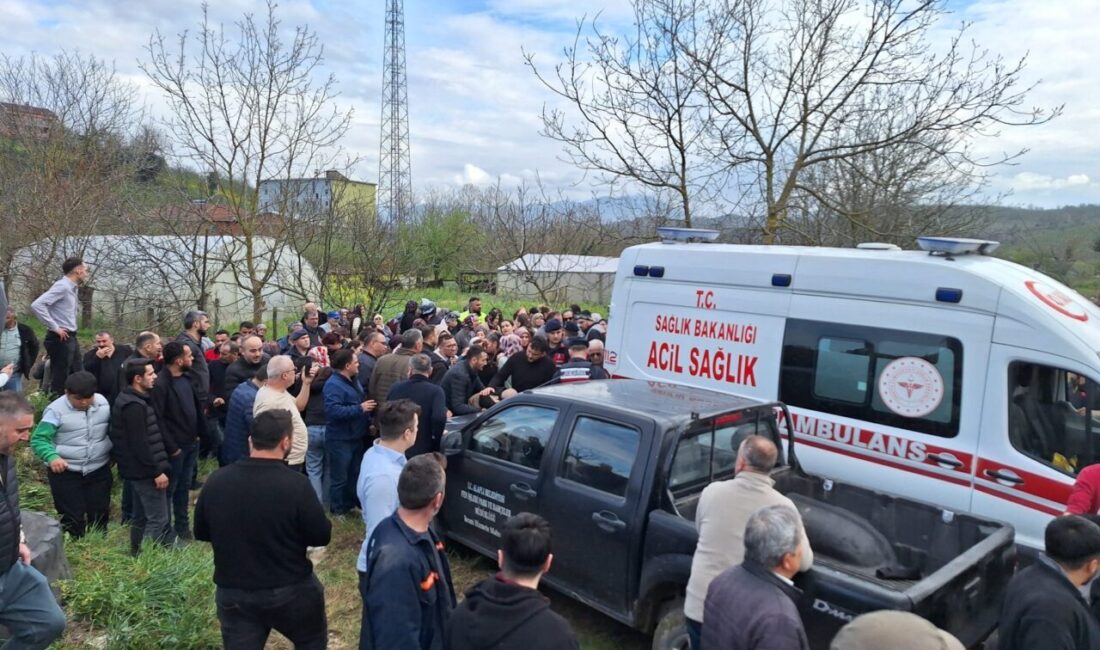 ZONGULDAK (AA) – Zonguldak'ın Alaplı ilçesinde su birikintisine düşerek balçığa