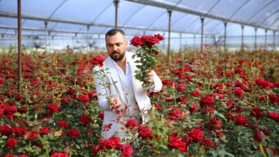 ADANA (AA) – Adana'da gül üreticisi Özgür Doğan, hasat ettiği