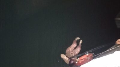 ADANA (AA) – Adana'da Seyhan Nehri'ne düşen kadın, itfaiye ekiplerince