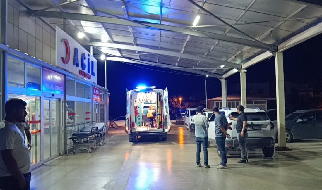 ADANA (AA) – Adana'nın Kozan ilçesinde çıkan tartışma sonucu tabancayla