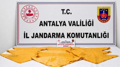 ANTALYA (AA) – Antalya'nın Alanya ilçesinde düzenlenen uyuşturucu operasyonunda 2