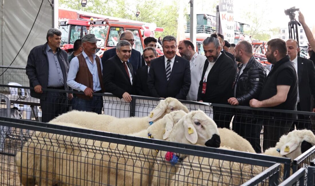 AMASYA (AA) – Amasya'nın Merzifon ilçesinde "Orta Karadeniz Tarım, Hayvancılık