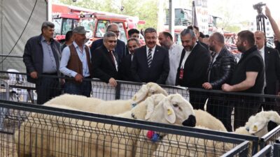 AMASYA (AA) – Amasya'nın Merzifon ilçesinde "Orta Karadeniz Tarım, Hayvancılık