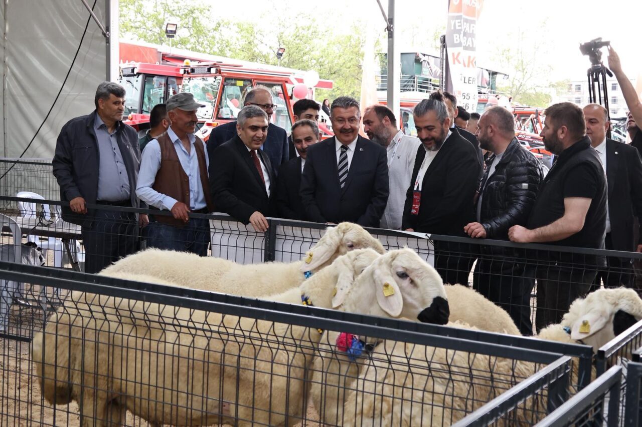 AMASYA (AA) – Amasya'nın Merzifon ilçesinde "Orta Karadeniz Tarım, Hayvancılık