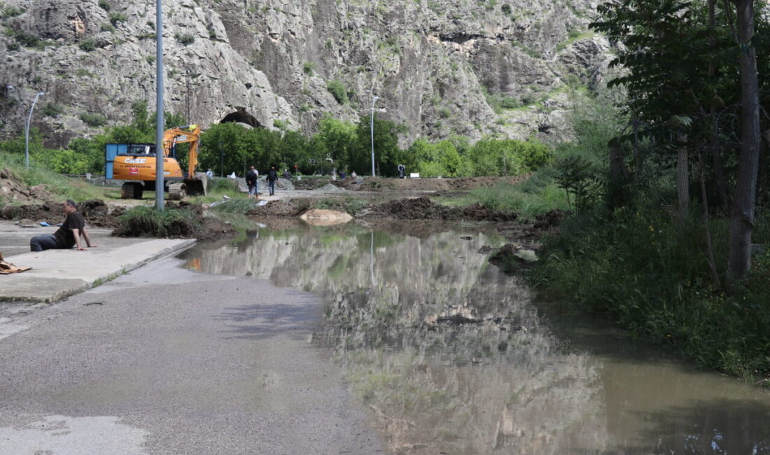 AMASYA (AA) – Amasya'da yaklaşık bir haftadır etkili olan sağanak,