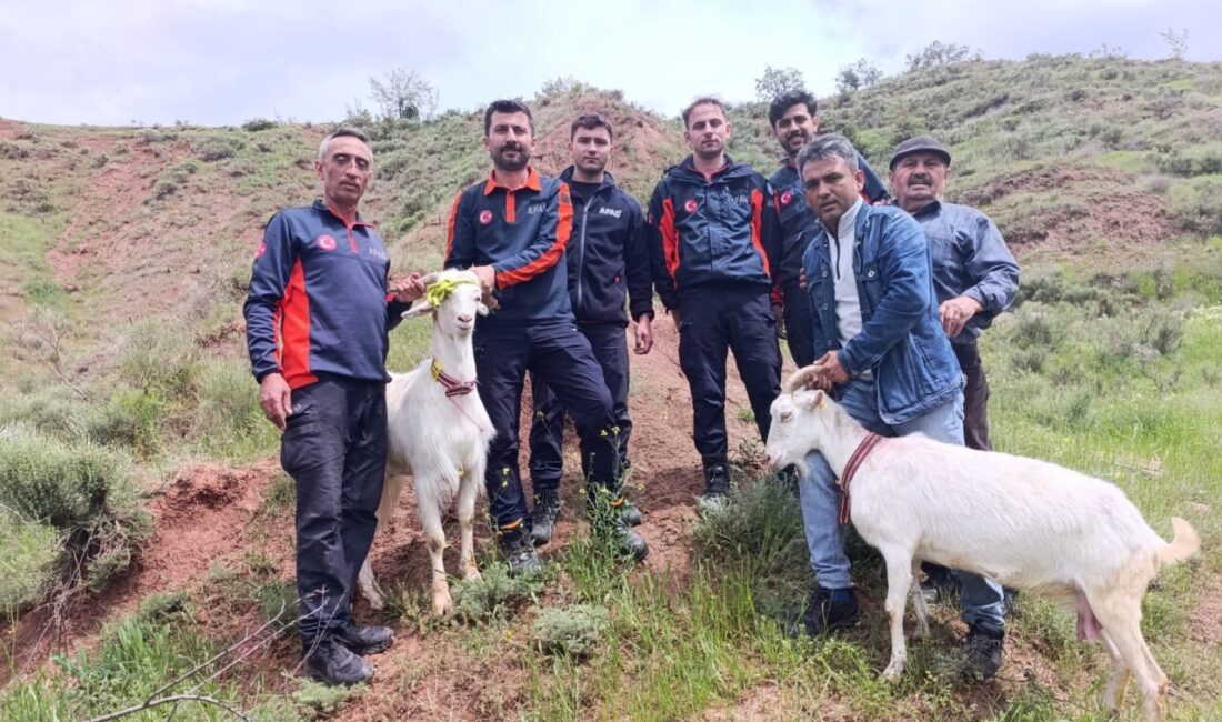 ANKARA (AA) – Ankara'nın Nallıhan ilçesinde kayalıklarda mahsur kalan 2