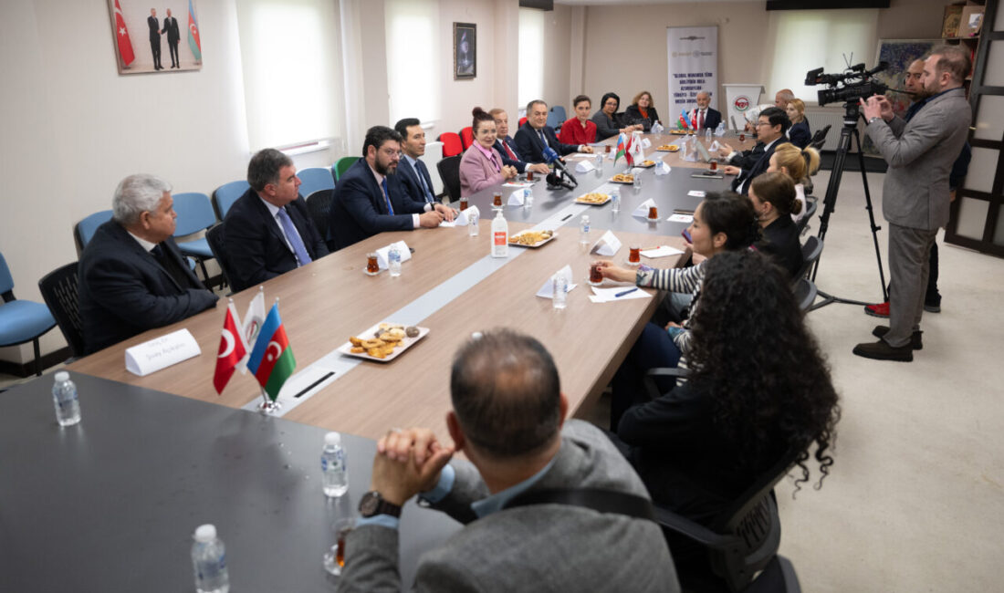 ANKARA (AA) – Türkiye-Azerbaycan Dostluk İşbirliği ve Dayanışma Vakfı (TADİV)