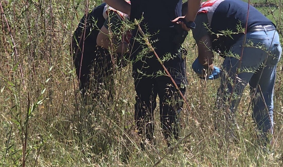 ANTALYA (AA) – Antalya'nın Manavgat ilçesinde boş arazide insan kafatası