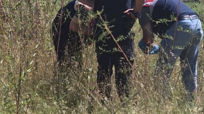 ANTALYA (AA) – Antalya'nın Manavgat ilçesinde boş arazide insan kafatası