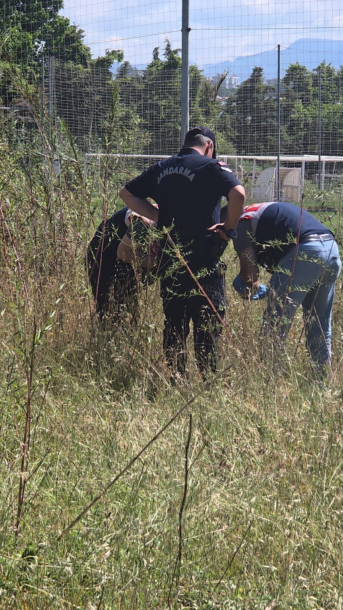 ANTALYA (AA) – Antalya'nın Manavgat ilçesinde boş arazide insan kafatası