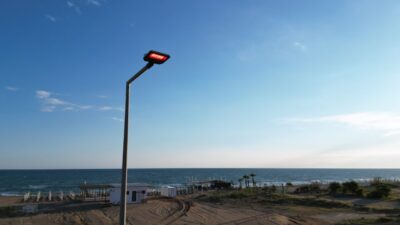 ANTALYA (AA) – Antalya'nın Manavgat ilçesinde, nesli tükenme tehlikesi altındaki