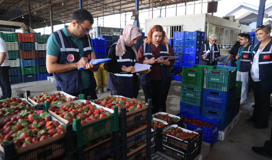 ANTALYA (AA) – Antalya'da, Ticaret İl Müdürlüğü ekiplerince toptancı hali