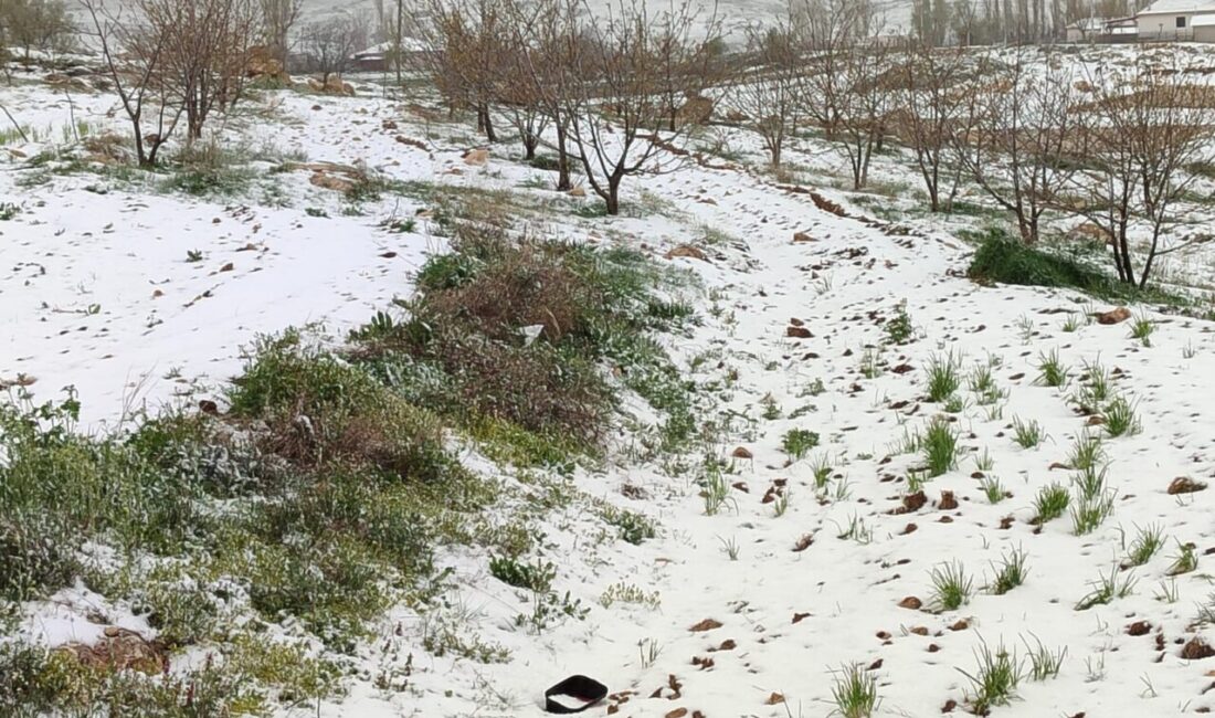 ANTALYA – Antalya'nın Akseki, Korkuteli, Konyaaltı ve Kaş ilçelerinin yüksek