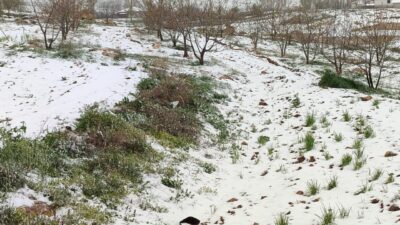 ANTALYA – Antalya'nın Akseki, Korkuteli, Konyaaltı ve Kaş ilçelerinin yüksek
