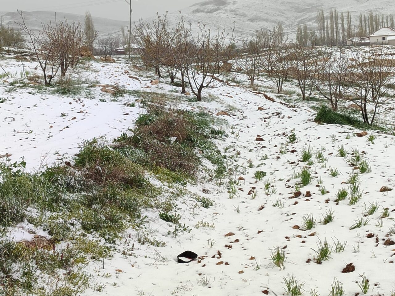 ANTALYA – Antalya'nın Akseki, Korkuteli, Konyaaltı ve Kaş ilçelerinin yüksek