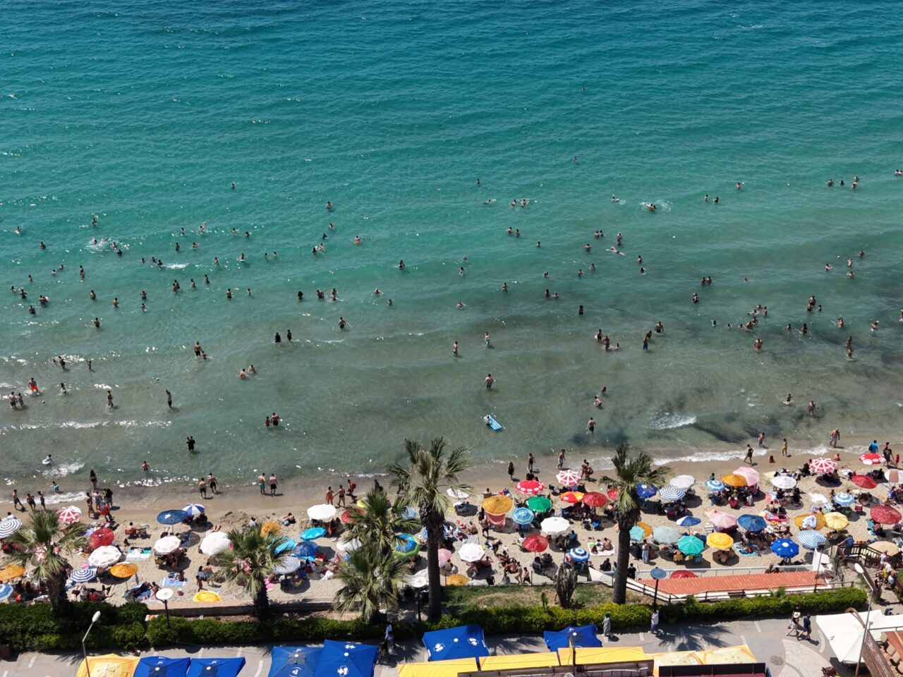 AYDIN (AA) – Aydın'ın Kuşadası ve Didim ilçelerindeki sahillerde Kurban