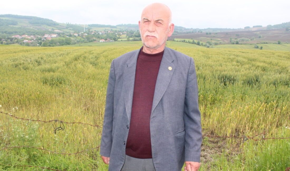 SAMSUN (AA) – Samsun’un Bafra ilçesinde, bu yıl 200 bin