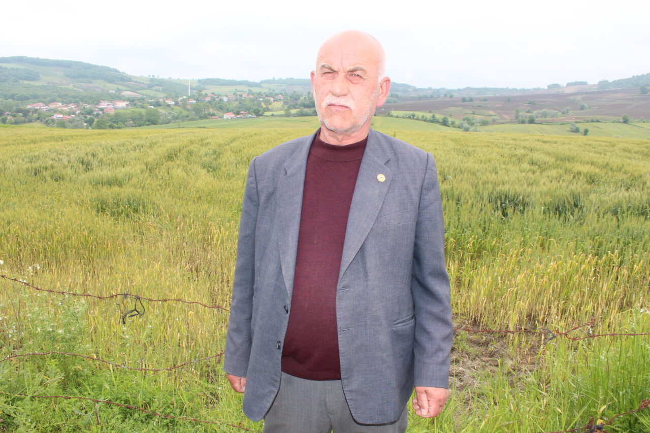 SAMSUN (AA) – Samsun’un Bafra ilçesinde, bu yıl 200 bin