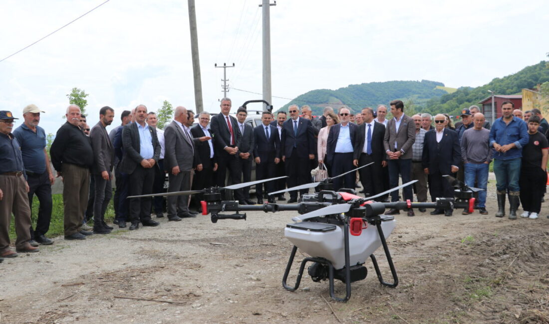 SAMSUN (AA) – Türkiye'de Edirne'nin İpsala ilçesinden sonra en çok