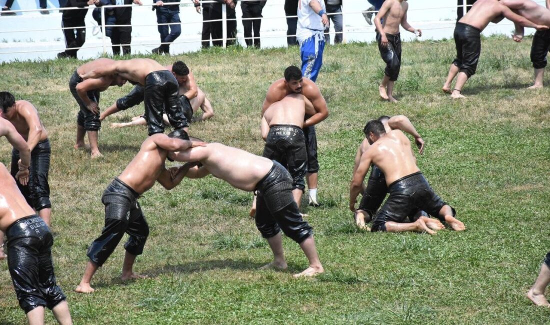 BALIKESİR (AA) – Balıkesir'in Edremit ilçesinde bu yıl 18'inci kez