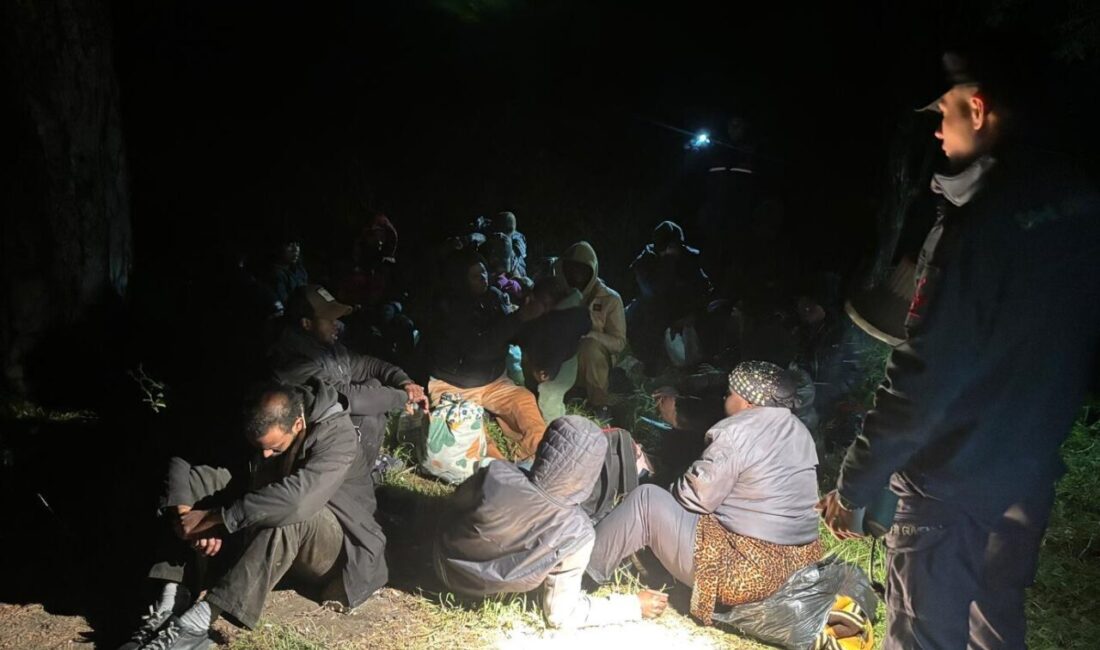 BALIKESİR (AA) – Balıkesir'in Edremit ilçesinde düzenlenen operasyonda 2'si çocuk