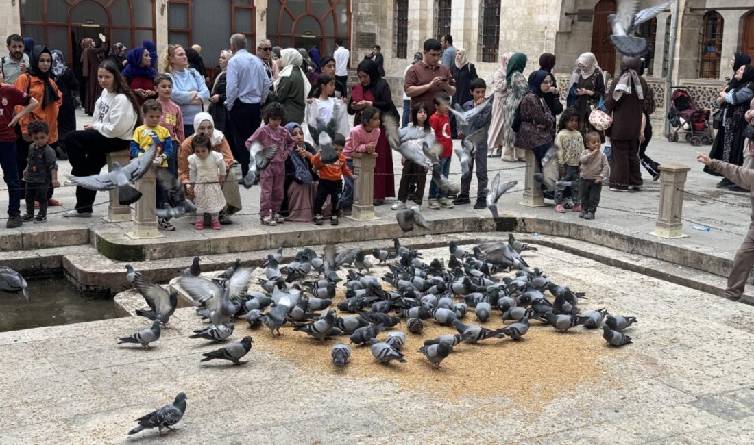 ŞANLIURFA (AA) – Türkiye'nin önemli turizm merkezlerinden Şanlıurfa'daki tarihi Balıklıgöl'de,
