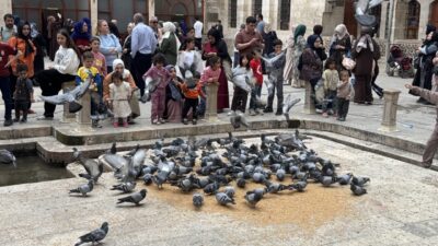 ŞANLIURFA (AA) – Türkiye'nin önemli turizm merkezlerinden Şanlıurfa'daki tarihi Balıklıgöl'de,