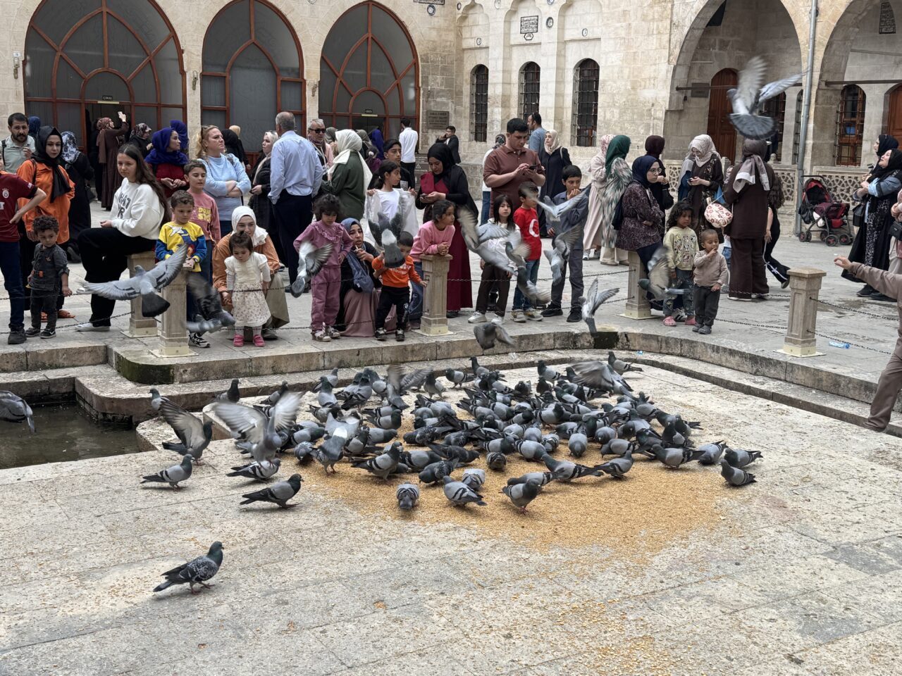 ŞANLIURFA (AA) – Türkiye'nin önemli turizm merkezlerinden Şanlıurfa'daki tarihi Balıklıgöl'de,