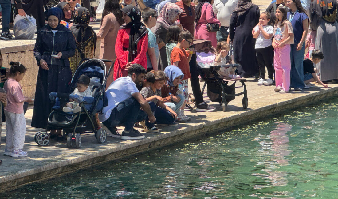 ŞANLIURFA (AA) – Şanlıurfa'daki Balıklıgöl Yerleşkesi'nde Kurban Bayramı tatilinde ziyaretçi