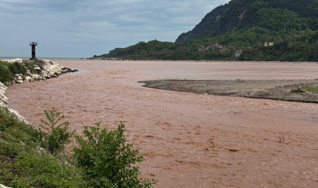 BARTIN (AA) – Bartın'da sağanağın ardından derelerin taşıdığı çamurlu su