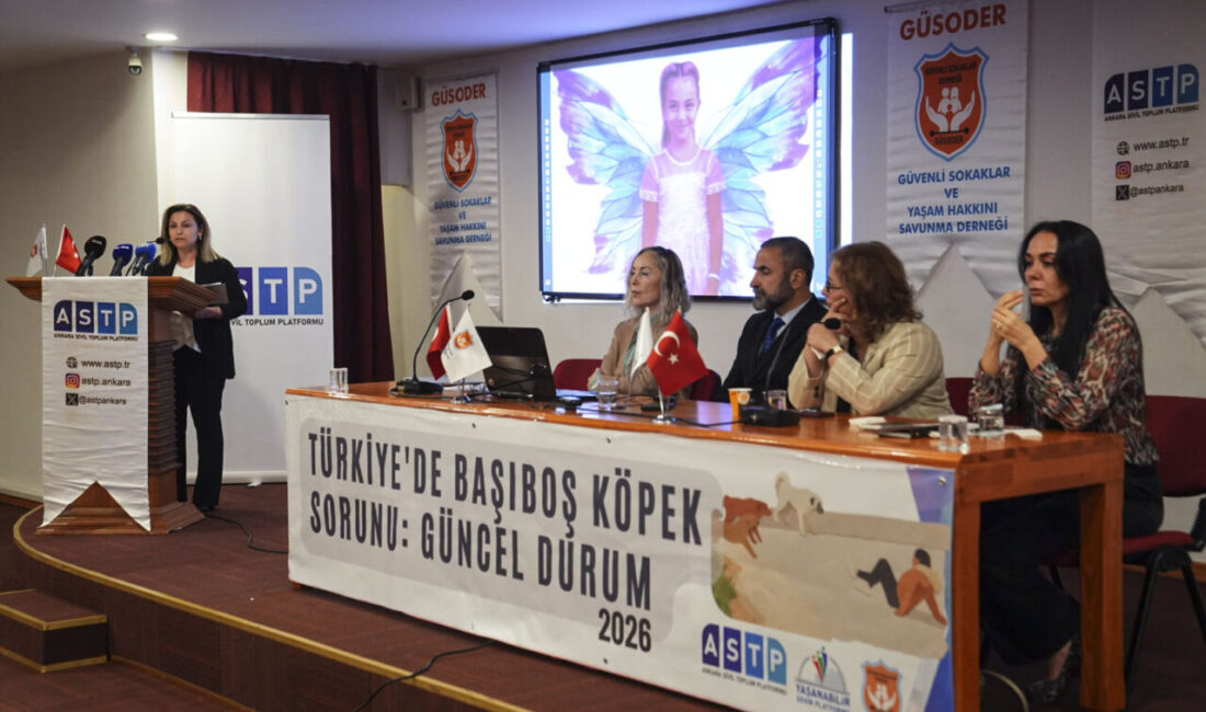 ANKARA (AA) – Ankara Sivil Toplum Platformu ile Güvenli Sokaklar