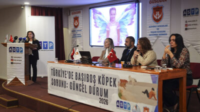 ANKARA (AA) – Ankara Sivil Toplum Platformu ile Güvenli Sokaklar