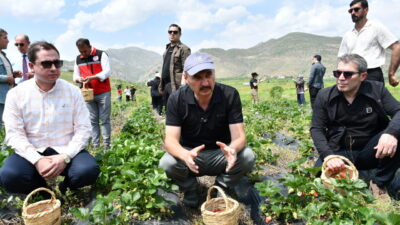 BATMAN (AA) – Batman'ın Sason ilçesinde üretimi yapılan tescilli Sason