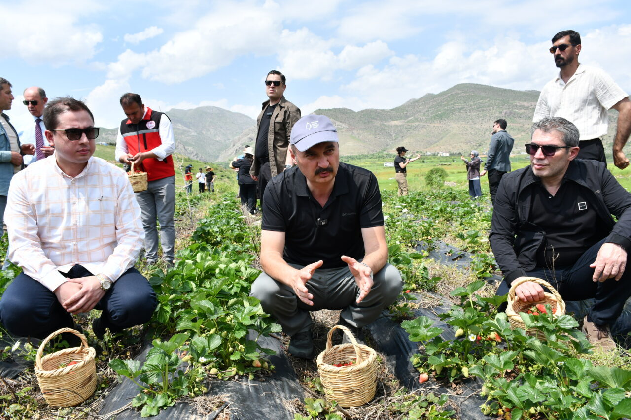 BATMAN (AA) – Batman'ın Sason ilçesinde üretimi yapılan tescilli Sason